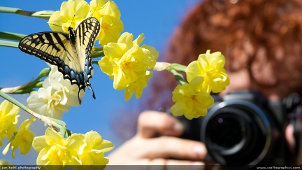 Beauty x3 -- Woman taking a photo of a butterfly on a flower