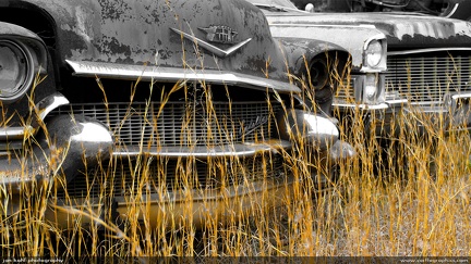 Contrast -- Cadillacs sit in a winter field near Hickory, NC