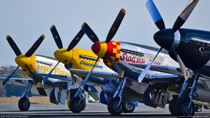 Herd of Mustangs -- Four brightly painted P-51 Mustangs at Warbirds over Monroe, an annual airshow near Charlotte