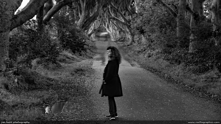 Dark Woods -- A traveler walks down the foreboding road of the Dark Hedges, Northern Ireland